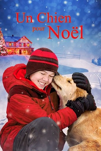 Un chien pour Noël en streaming 