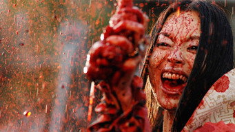 #13 Helldriver