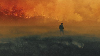 Paradise media image