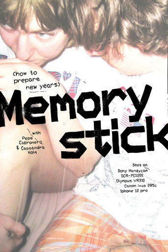 MEMORY STICK (HOW TO PREPARE NEW YEARS)