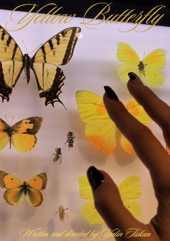Yellow Butterfly
