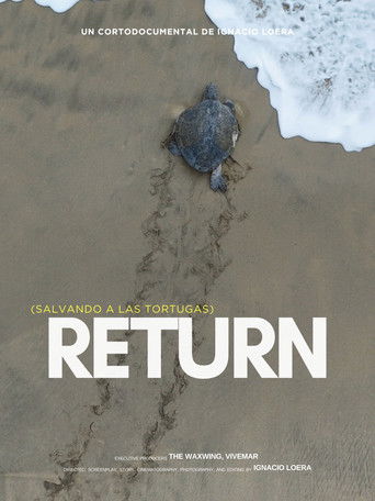 Return: Salvando a las tortugas