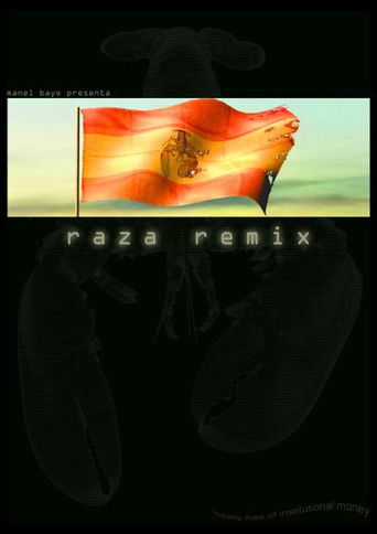 Raza Remix poster