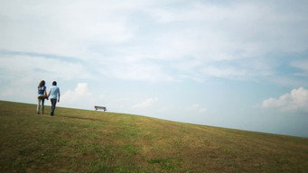 #12 Toad Road