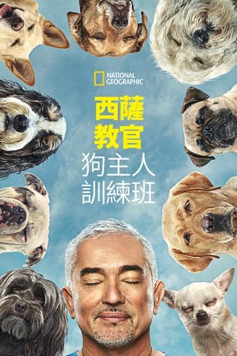 金牌训狗师:狗主人训练班