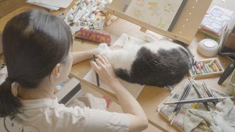 第14話：Episode 14