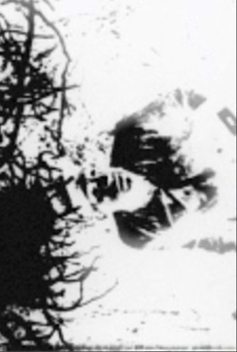 Speaking in Tongues: Take One (2024) Speaking in Tongues: Take One (2024)