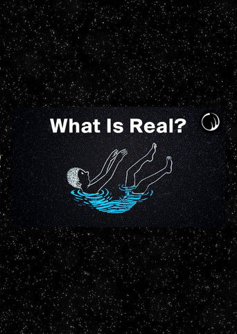 Is Anything Real? poster