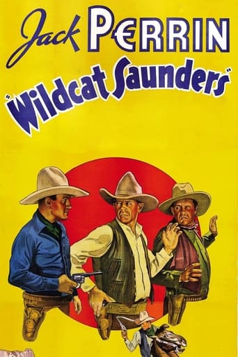 Poster för Wildcat Saunders