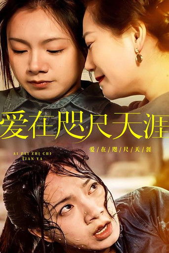 爱在咫尺天涯 poster