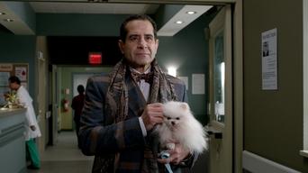 Cena de Alistair Pitt (Nº 103)