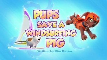 Cena de Os filhotes salvam um porco windsurf