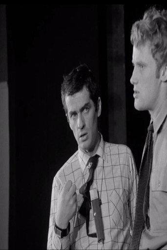 Scenes From The Director's Life poster