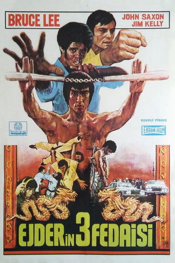 Ejderin 3 Fedaisi (1973)