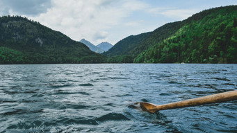 La vraie nature (2017- )