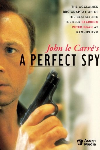 A Perfect Spy