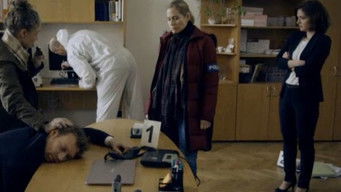 Episode 7 — Episode 7