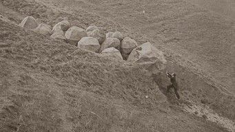 #11 Сім шансів