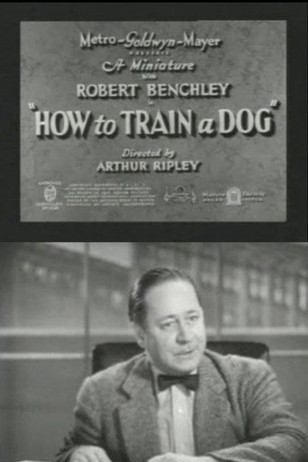 How to Train a Dog