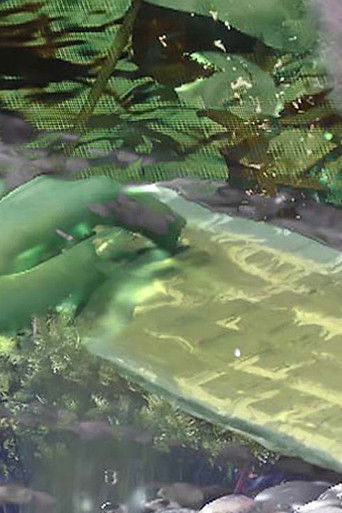 MyCelium Systems poster