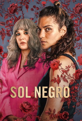 Póster del título