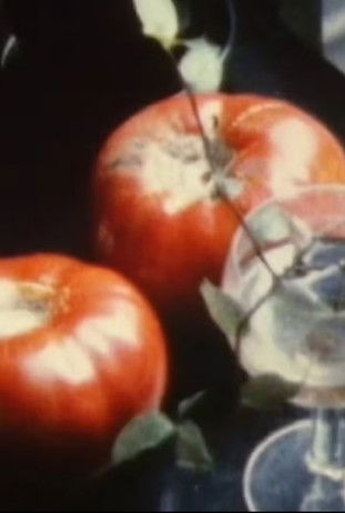 Le Jardin (du Paradis) The Garden poster