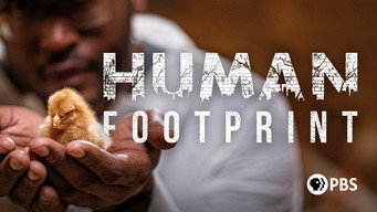 #8 Human Footprint