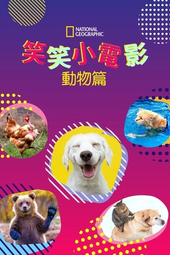 笑笑小电影:动物篇