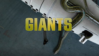 #7 Giants