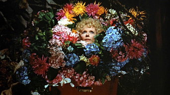 #4 Say it with Flowers