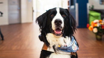 Les diplômés Mira - S1E01