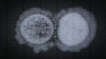 54 Days - S1E01