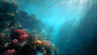 The South Seas - a world of water