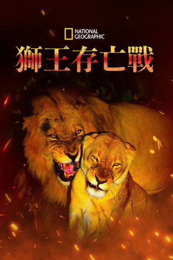 Game of Lions 封面