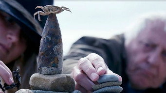 The Greenaway Alphabet (2017)