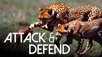 Attack and Defend (2015-2016)
