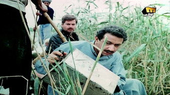 The Shame (1982)