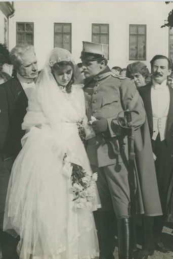 Kärlekens irrfärder