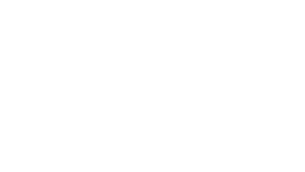 Commander Fort logo