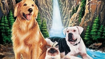 Still 9 from Homeward Bound: The Incredible Journey
