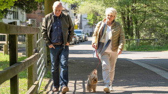 #6 23 Walks