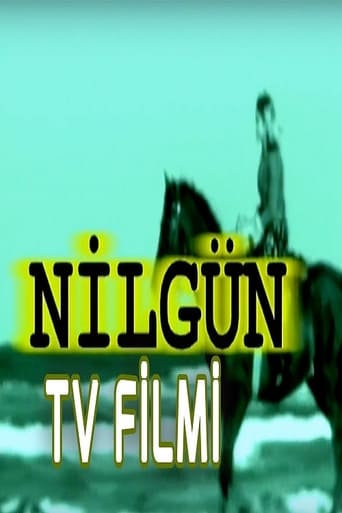Poster of Nilgün