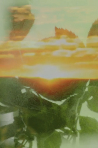 Pink Carnations poster