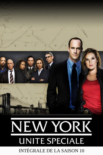 New York Unité Spéciale - S10 - Poster