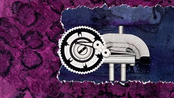 Invasion media image