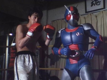 Kamen Rider T9E36