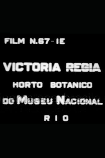 Victória Régia: Horto Botânico do Museu Nacional