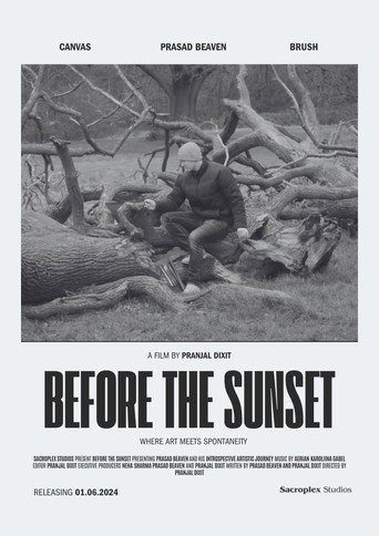 Before The Sunset