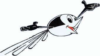 Wattoo Wattoo Super Bird (1978)
