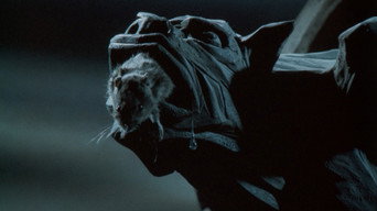 #6 The Pied Piper